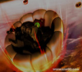 SD�ߴ�G���� ��