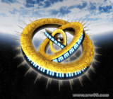SD�ߴ�G���� ��