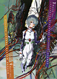 EVA�¾糡��:Q