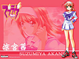 MUV-LUV